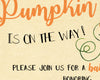 pumpkinbaby5.jpg