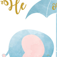 elephantgender5.jpg
