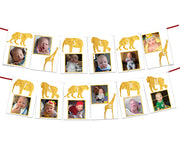 goldbanner.jpg