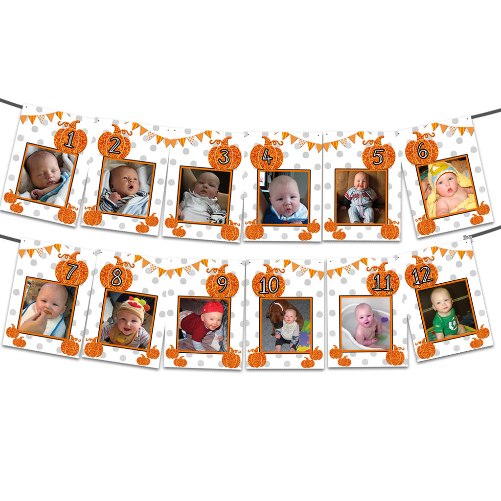 Little Pumpkin 1st Birthday Photo Banner