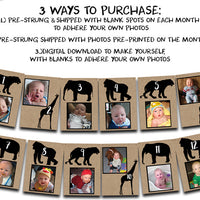 Kraft Safari 1st Birthday Monthly Photo Banner
